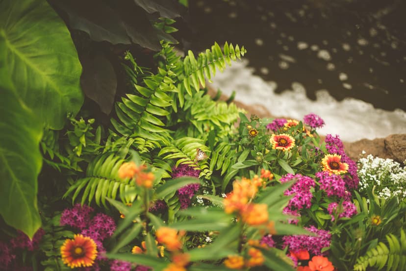 Flower bed design with seasonal plants